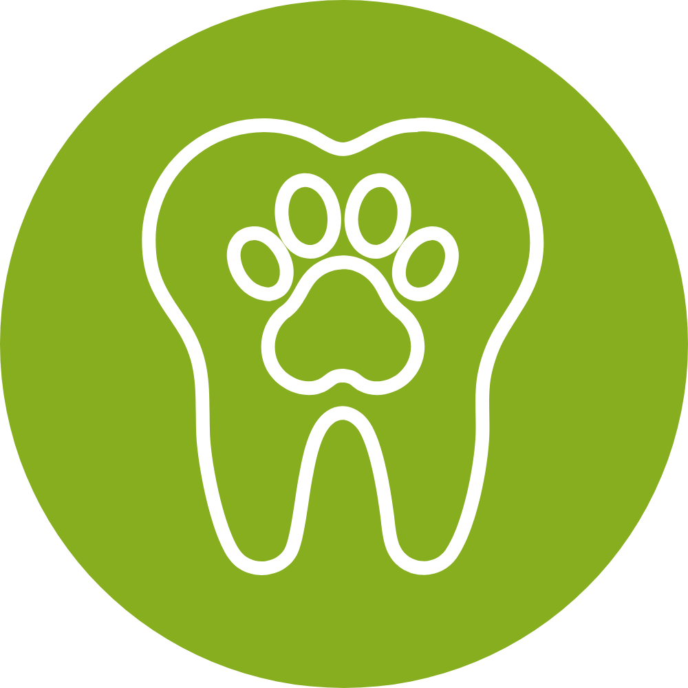 pet vaccination icon