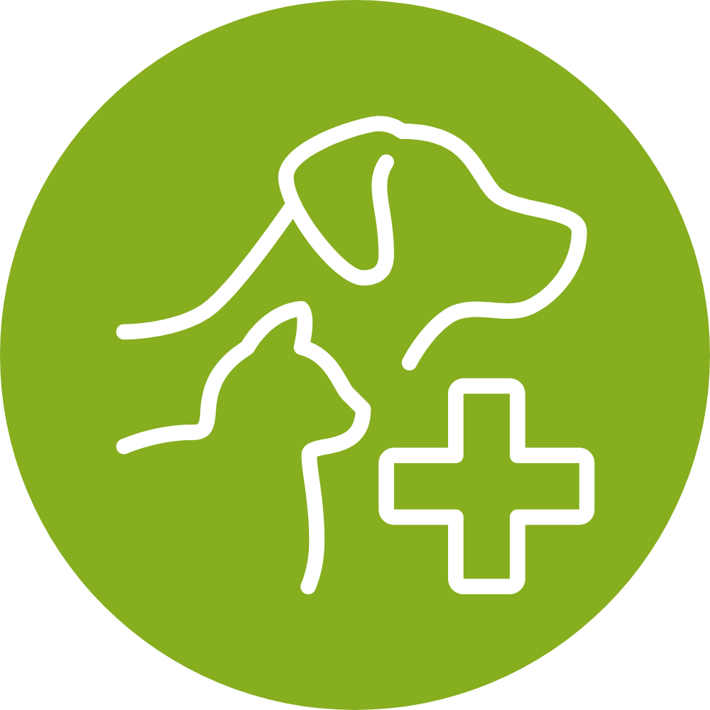 pet vaccination icon