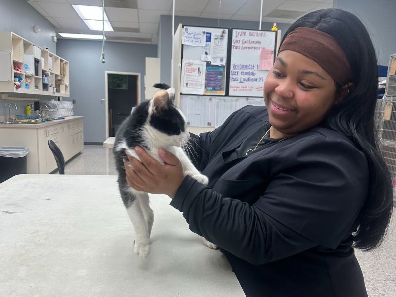 annual pet exams in Denver, NC