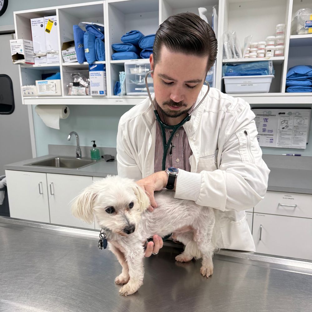 18 corner of modern building