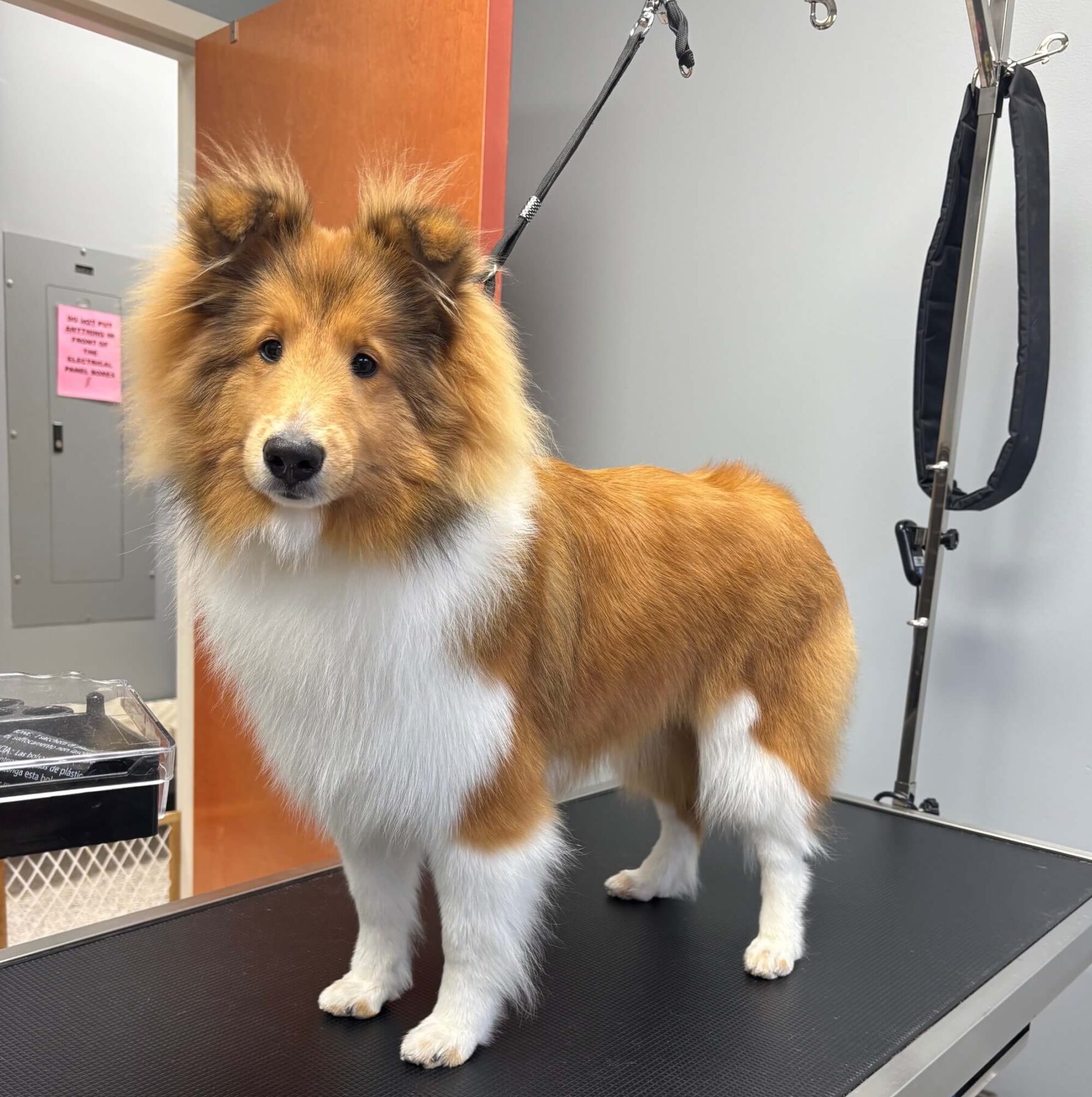 18 corner of modern building