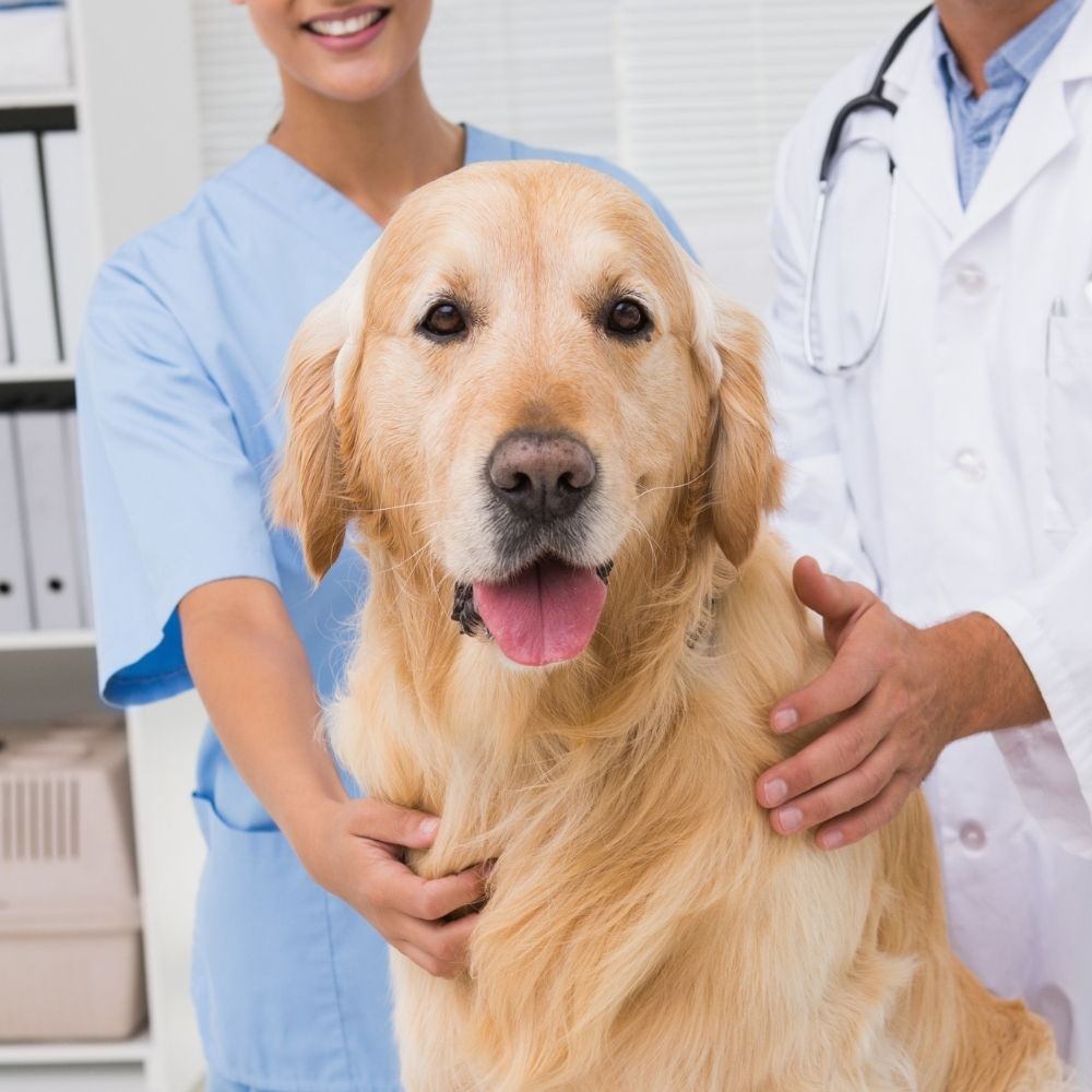 18 corner of modern building